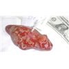Image 1 : Prehistoric Rare Pipe Stone effigy Beaver gorget