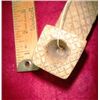 Image 2 : Indian Pipe