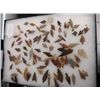 Image 1 : Frame of Bird points