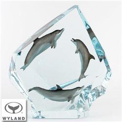 Dolphin Circle of Life