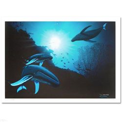 Whale Vision