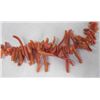 Image 6 : Three Strands of Coral Necklaces