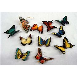 Set of 10 Butterfly Magnets, 1 Monarch Cloissone