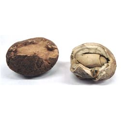 Pair of Fossil Eggs