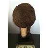 Image 4 : VINTAGE GHOST OF DANIEL BOONE DAVY CROCKET SKULL HEAD WITH FAUX RACCOON SKIN HAT HORROR PROP