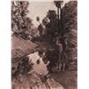 Image 1 : Edward Curtis Before the White Man Came Palm Canyon photogravure 521/2 x 201/4 in. (133.4 x 51.4 cm)