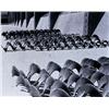 Image 1 : Manuel Alvarez Bravo Herramentas (insectos) gelatin silver print 8 x 10 in. (20.3 x 25.4 cm) 1940s p