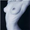 Image 1 : Edward mapplethorpe Torso/Maryanne gelatin silver print 20 x 20 in. (50.8 x 50.8 cm) circa 1987 this