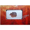 Image 2 : 2008 Australia $1 Silver "Kangaroo Dreaming" Silver Ingot Coin In Display Folder With History; 999 S