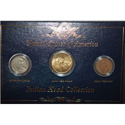 US Indian Head Coin Collection Set In Display Box; 1937 Buffalo Nickel, 2000-D Sacagawea $1 & 1902 I