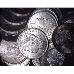 Lot 10 Morgan UNCIRCULATED Dollars