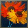 Image 1 : NEL WHATMORE FLAMENCO LIMITED ED. HAND SIGNED GICLEE