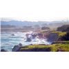 Image 1 : June Carey - Mendocino