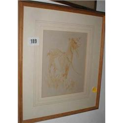 A framed and glazed drawing of a goat signed Newton