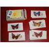 A set of John Players Cigarette cards of butterflies