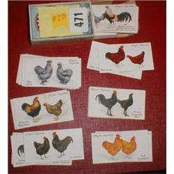 A set of John Players cigarette cards of poultry
