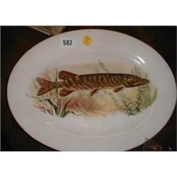 A mid C20th Springfield bone china dish decorated with a Pike fish