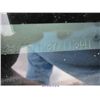 Image 8 : 2007 - FORD CROWN VICTORIA