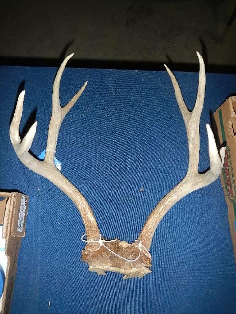 Deer rack