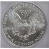 Image 3 : 2005 silver Eagle  ICG70 first day issue #1314 of 3339