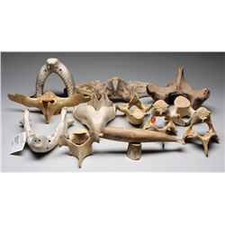 13 Whalebone Seal, Bird and Whale Carvings From Various Artists and Communities 5" L. - 11" L.  All