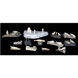 13 Miniature Ivory Carvings of Whales, Seals and Birds 1 3/8  L. - 6 1/2  L.  Good Condition NOT ALL
