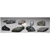 Image 2 : Eight Bird and Seal Carvings From Various Artists and Communities Including Adamie 4" L. - 9" L.  Al