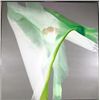 Image 1 : Rex, Convolutions 6, Painting