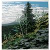 Image 1 : Neil Welliver, Si's Hill, Lithograph