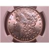 Image 1 : 1898 Morgan Dollar MS63 NGC