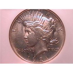 1921 Peace Dollar MS63 NGC