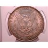 Image 2 : 1884-O Morgan Dollar MS63 NGC