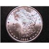 Image 1 : 1884-CC Morgan Dollar Gem Beauty MS65 GSA and NGC