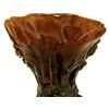 Image 7 : CHINESE CARVED RHINOCEROS HORN FLORAL LIBATION CUP