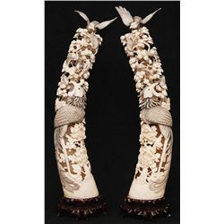 Pr OF 20th CENTURY RETICULATED IVORY TUSKS