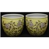 Image 1 : RARE GRISAILLE-DECORATED YELLOW GROUND PLANTERS