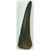 Image 5 : ANTIQUE RHINOCEROS HORN