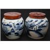 Image 1 : Pr OF KANGXI BLUE & WHITE PORCELAIN GINGER JARS