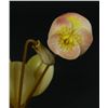 Image 2 : A CHINESE CARVED POLYCHROMED IVORY FLOWER STUDY