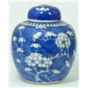 Image 1 : 19th CENTURY CHINESE PRUNUS GINGER JAR