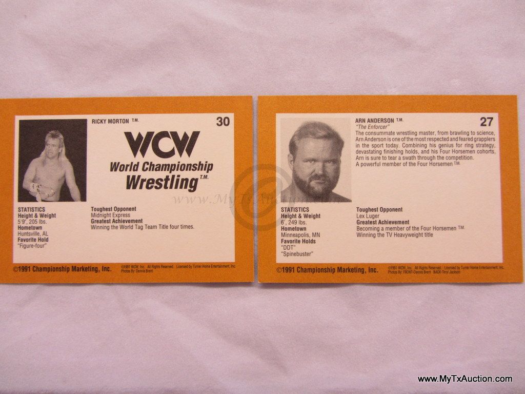 1991 Championship Marketing WCW Trading Cards