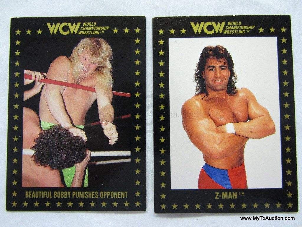 1991 Championship Marketing WCW Trading Cards