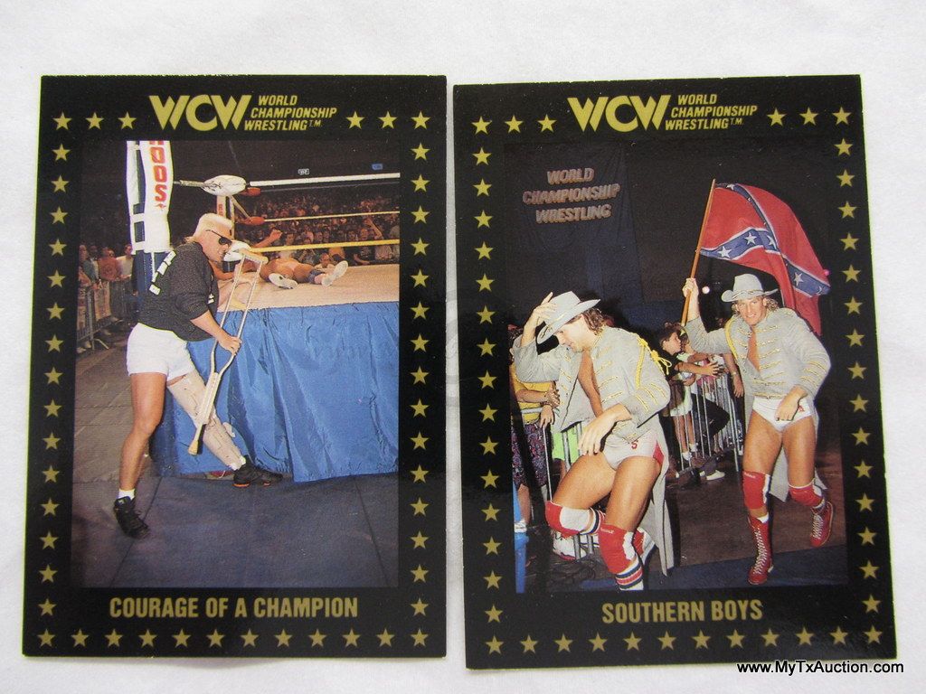 1991 Championship Marketing WCW Trading Cards