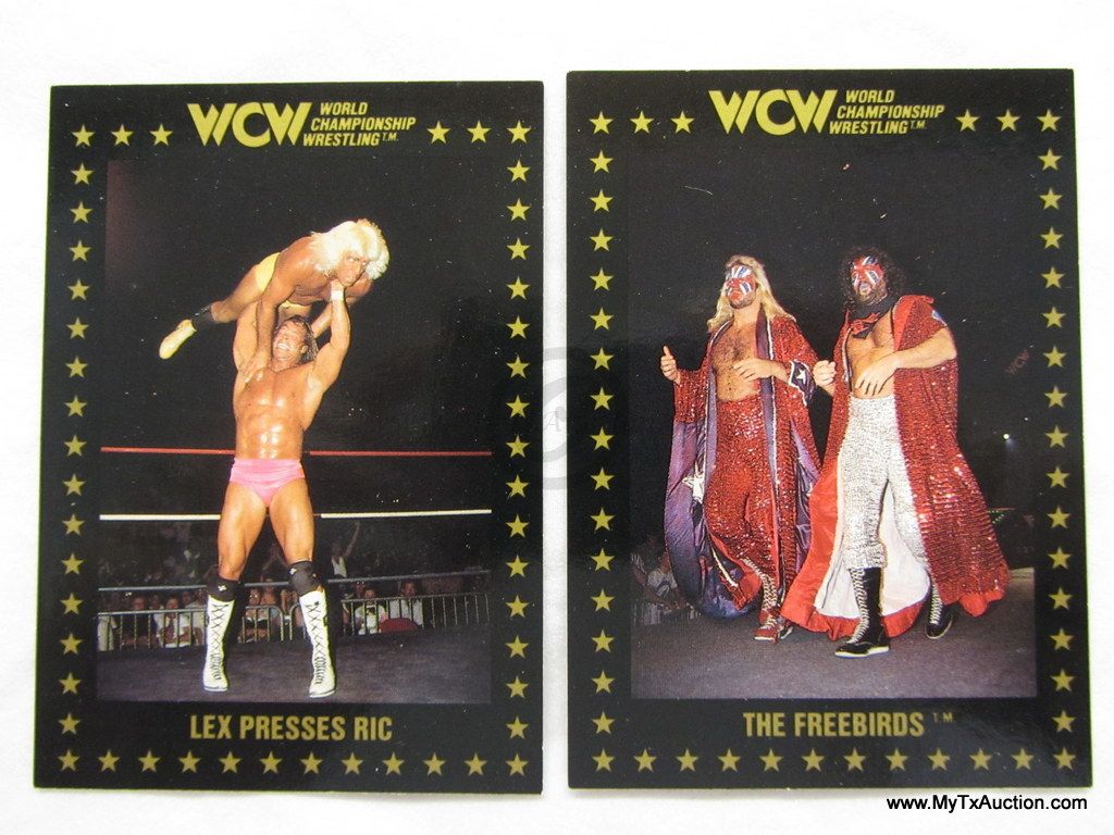 1991 Championship Marketing WCW Trading Cards