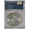 Image 4 : 1881S   Morgan $ OGH"RATTLER" PCGS65  Est $150-$160