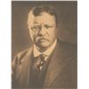 Image 2 : Theodore Roosevelt