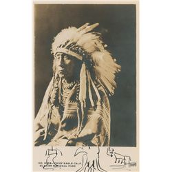 Chief Eagle Calf