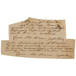 Declaration of Independence: William Williams