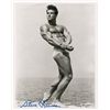 Image 1 : Steve Reeves