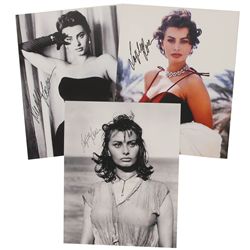 Sophia Loren